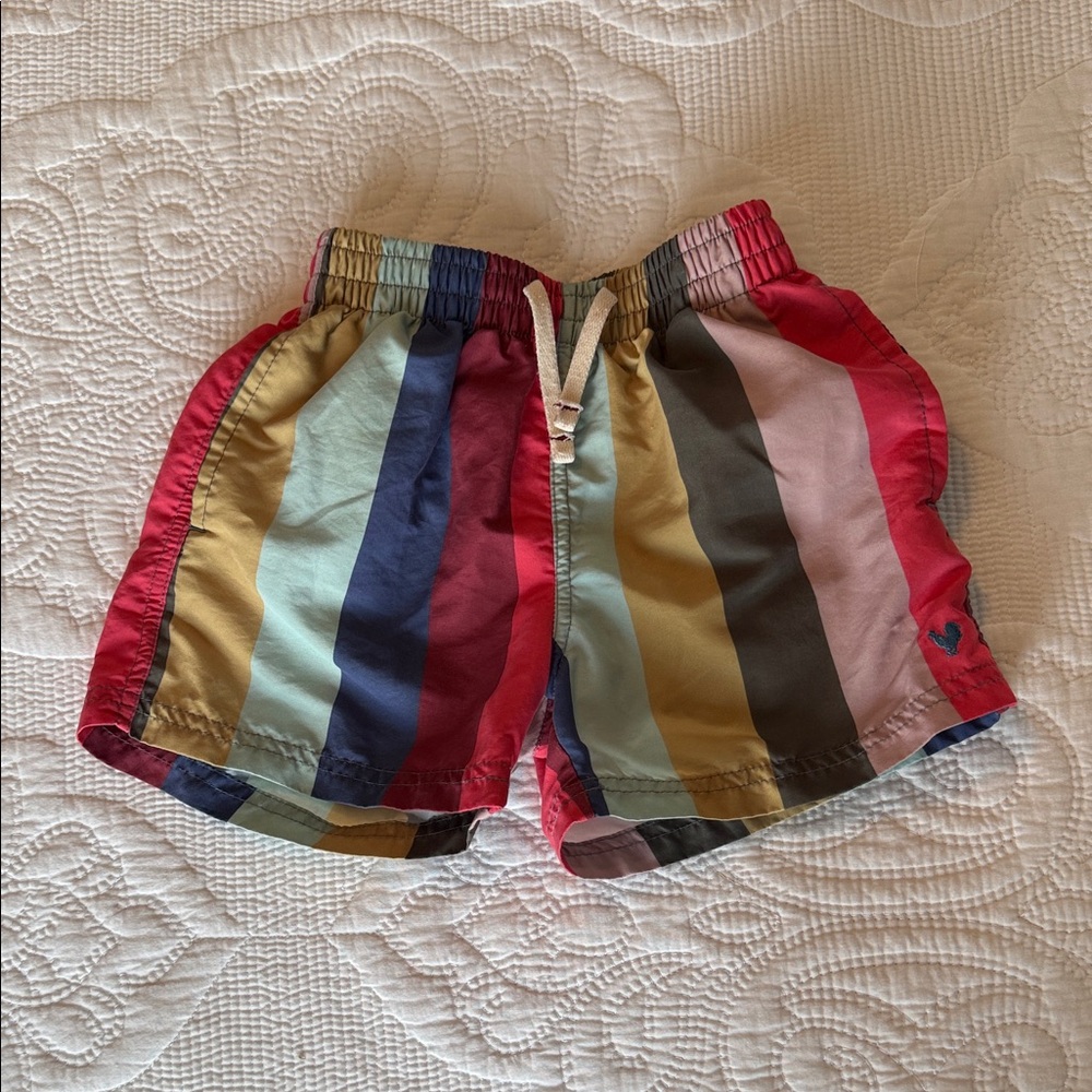 Blue Rooster Collection Multicolor Kids Swim Trunks